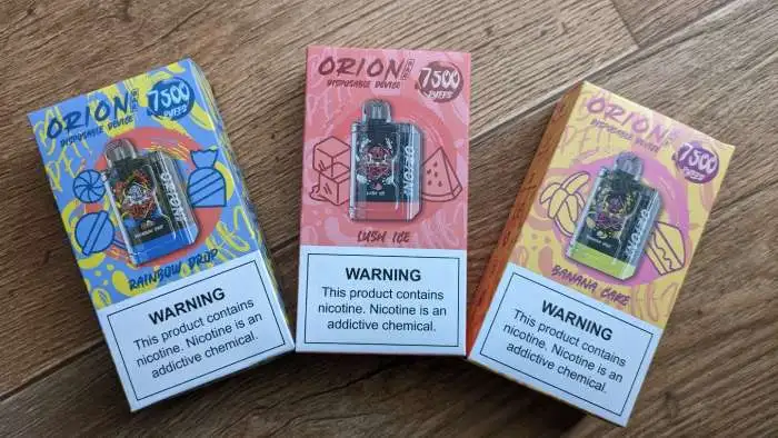 Morbi vel arcu scelerisque