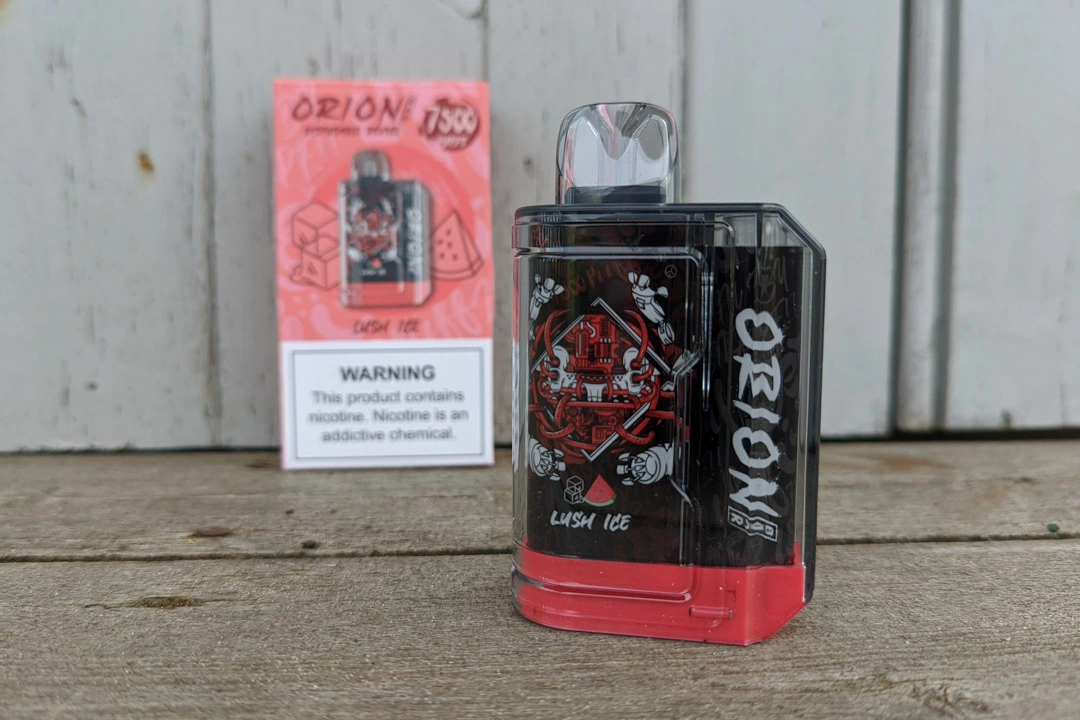 Morbi vel arcu scelerisque